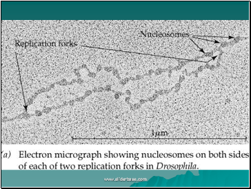 AS Biology. Gnetic control of protein structure and function