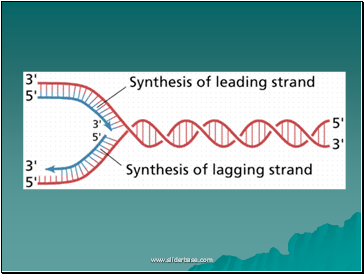 AS Biology. Gnetic control of protein structure and function