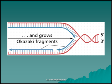 AS Biology. Gnetic control of protein structure and function