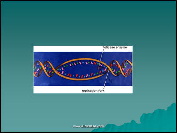 AS Biology. Gnetic control of protein structure and function