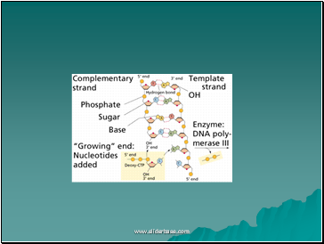 AS Biology. Gnetic control of protein structure and function