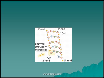 AS Biology. Gnetic control of protein structure and function