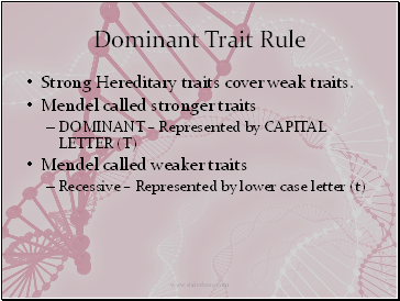 Dominant Trait Rule