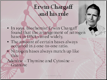 Erwin Chargaff and his rule