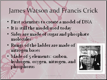 James Watson and Francis Crick