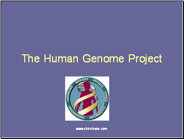 The Human Genome Project