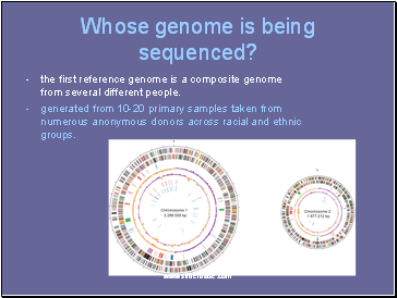 Whose genome is being sequenced?