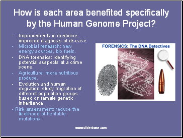 How is each area benefited specifically by the Human Genome Project?