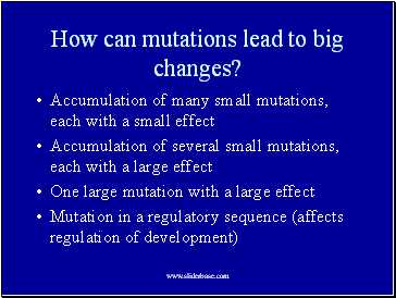 How can mutations lead to big changes?