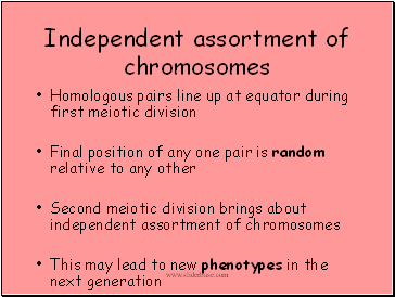 Independent assortment of chromosomes