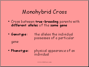 Monohybrid Cross