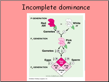 Incomplete dominance