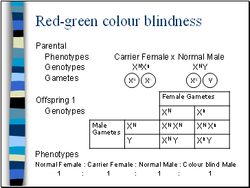 Red-green colour blindness