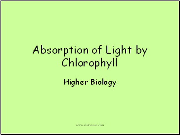 Absorption of Light by Chlorophyll