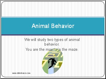 We will study two types of animal behavior.