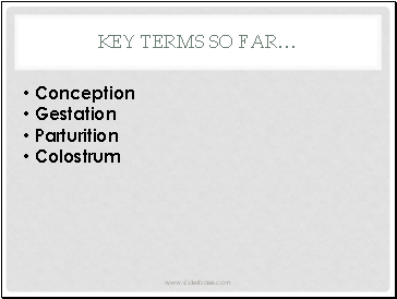 Key Terms So far