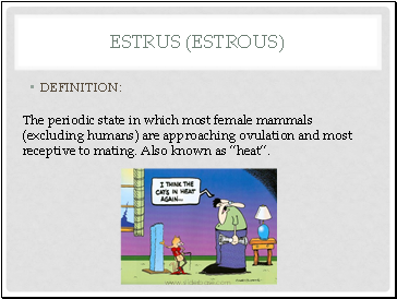 Estrus (Estrous)