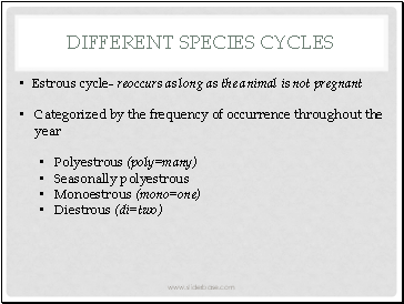 Different species Cycles