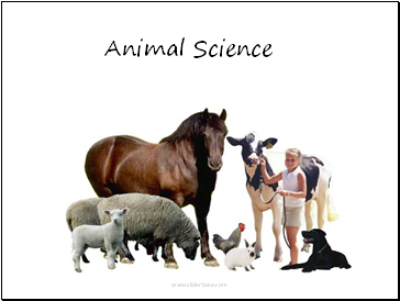 Animal Science