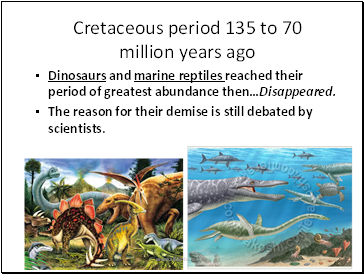 Cretaceous period 135 to 70 million years ago