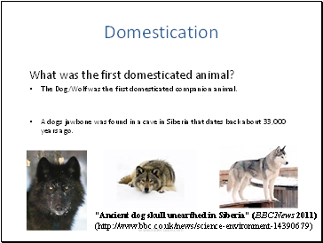 Domestication