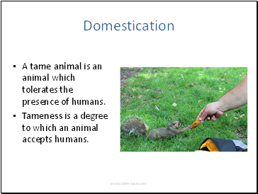 Domestication