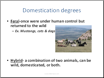 Domestication degrees