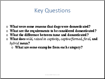 Key Questions