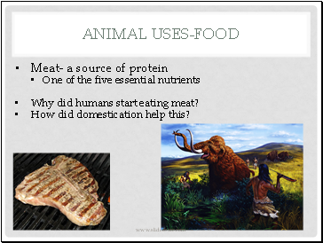Animal Uses-Food