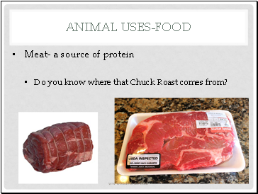 Animal Uses-Food
