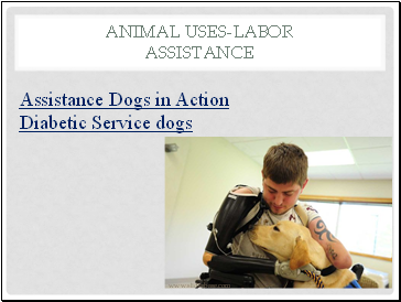 Animal Uses-Labor Assistance