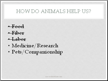 How do animals help us?