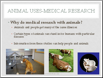 Animal Uses-medical research