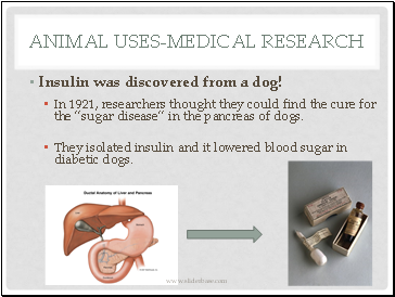 Animal Uses-medical research