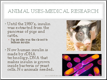 Animal Uses-medical research