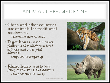 Animal Uses-medicine