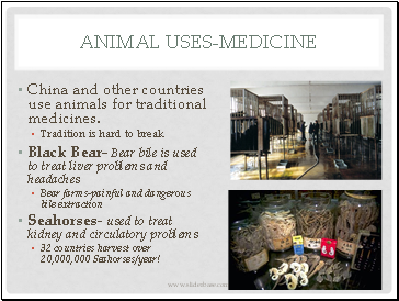 Animal Uses-medicine