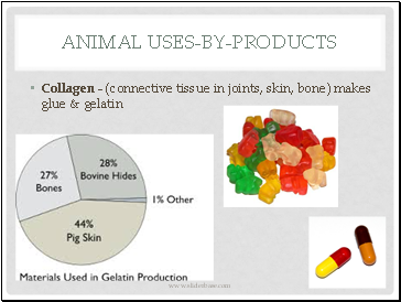 Animal Uses-by-products