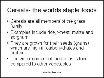 Cereals- the worlds staple foods