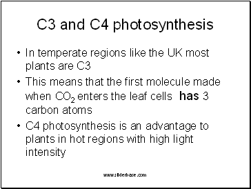 C3 and C4 photosynthesis