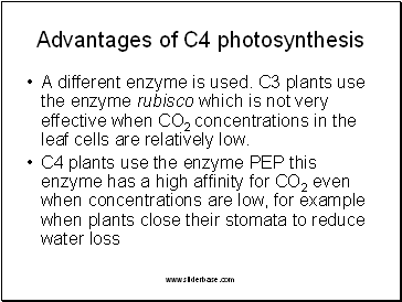 Advantages of C4 photosynthesis