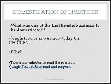 Domestication of Livestock