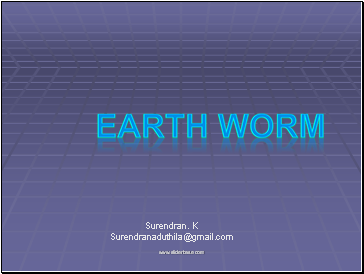EARTH WORM