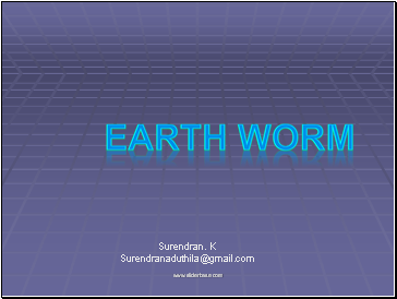 Earthworm