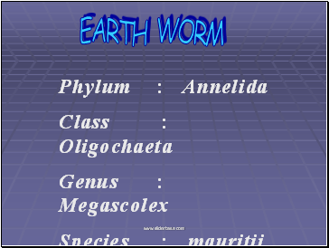 EARTH WORM