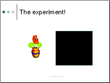The experiment!