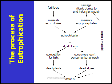 The process of Eutrophication