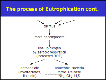 The process of Eutrophication cont.