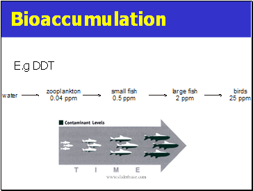 Bioaccumulation