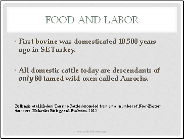 Food and Labor